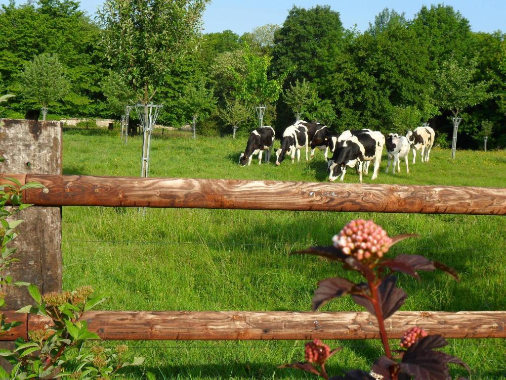 La Roulotte du Verger Barneville-sur-Seine Extérieur photo